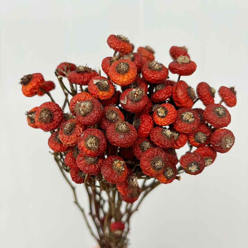 Dried Flower Bulk - ดอกกุหลาบฮิปแห้ง 10 ชิ้น/ช่อ ดอกไม้แห้งธรรมชาติสำหรับตกแต่งบ้าน ห้องนั่งเล่น งานแต่งงาน