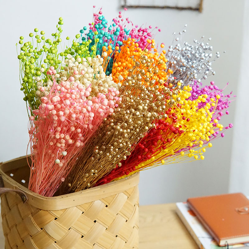 Dried Flower Bulk - ดอกออร์โมเซีย โฮเซีย แห้ง 35 กรัม/ชิ้น ดอกไม้แห้งธรรมชาติหลากสี