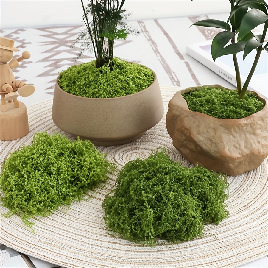 Terrarium Moss Art - 1 แพ็คประดิษฐ์ปลอม Moss, 1.05 OZ DIY