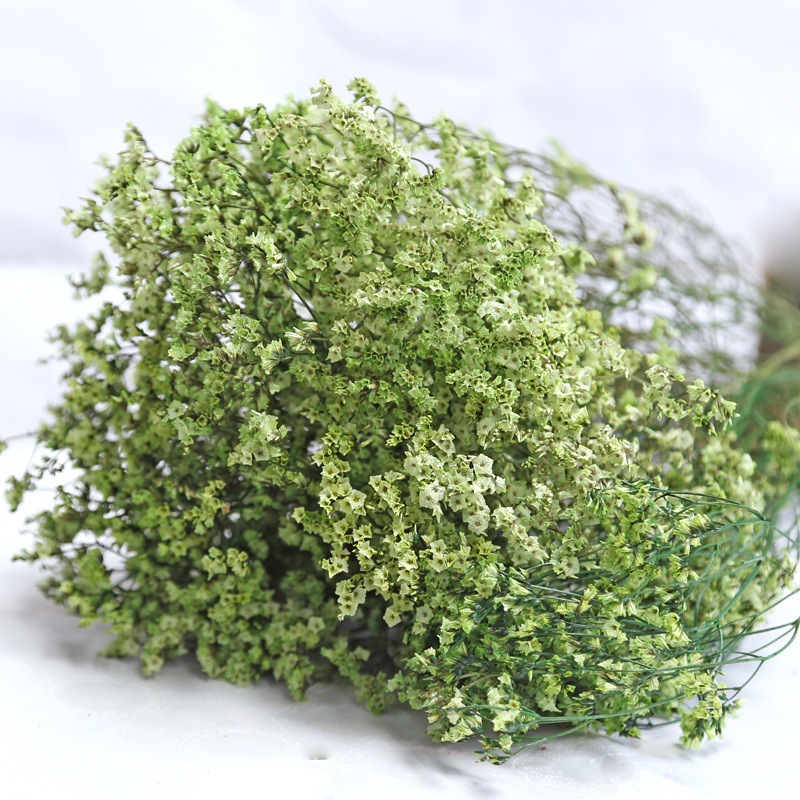 Dried Flower Bulk - ธรรมชาติสดแห้งดอกไม้ที่เก็บรักษาไว้คริสตัลหญ้า DIY ของขวัญช่อดอกไม้วันวาเลนไทน์ของขวัญวันแม่งานแต่งงานตกแต่งพืช