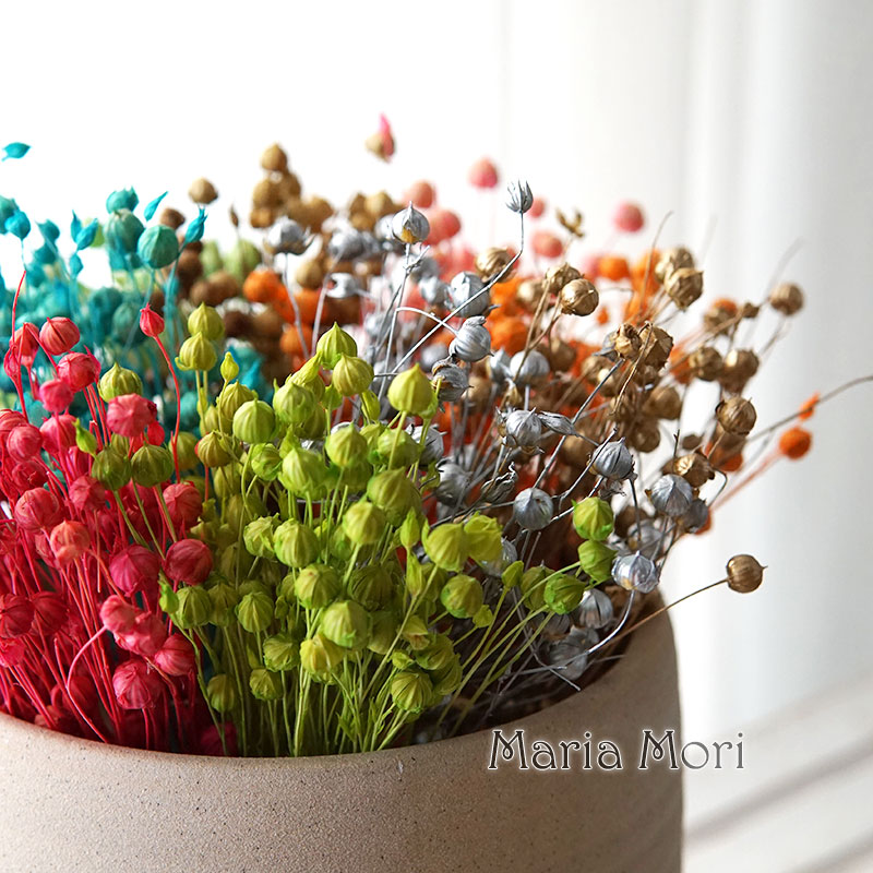 Dried Flower Bulk - 5g Preserved Flax Bean ดอกไม้ธรรมชาติที่มีสีสันเทียนหอมแห้งอีพ็อกซี่ทําด้วยมือ DIY