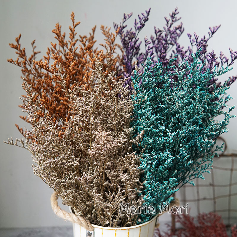 Dried Flower Bulk - หญ้าลิโมเนียม 50 กรัม/แบบแห้ง สำหรับตกแต่งดอกไม้ ของตกแต่งบ้าน สไตล์