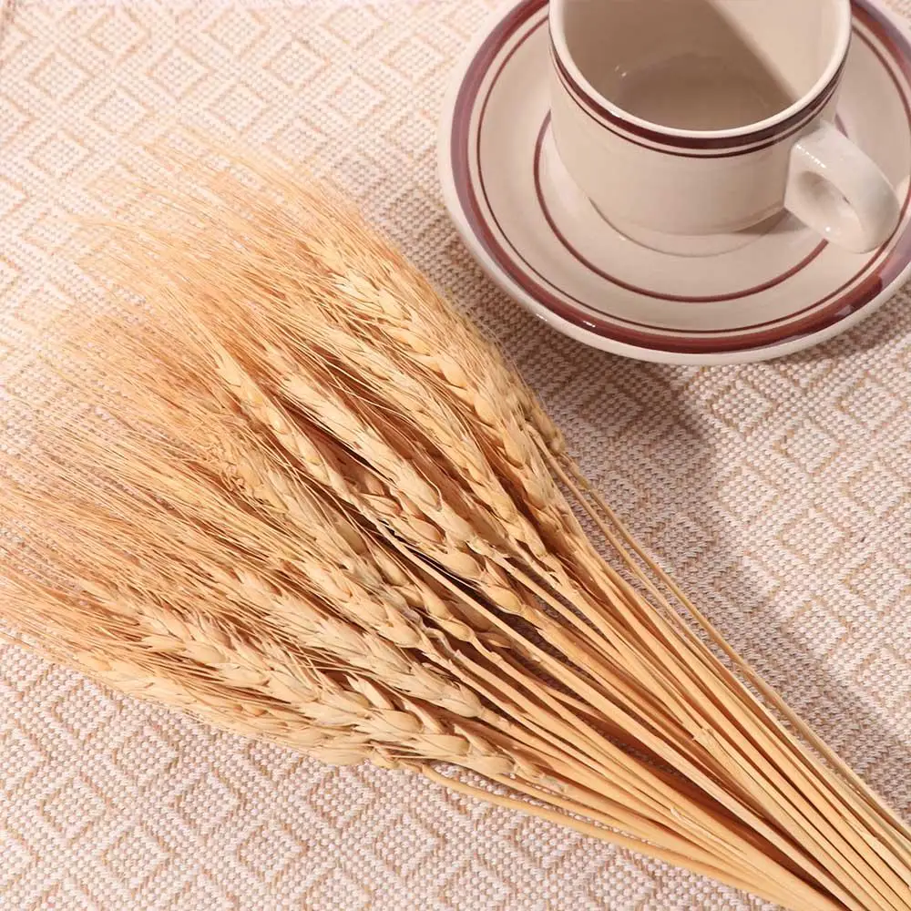 ดอกไม้ประดิษฐ์ 50 ชิ้น ก้านข้า - Dried Flower Bulk บทวิจารณ์และราคา