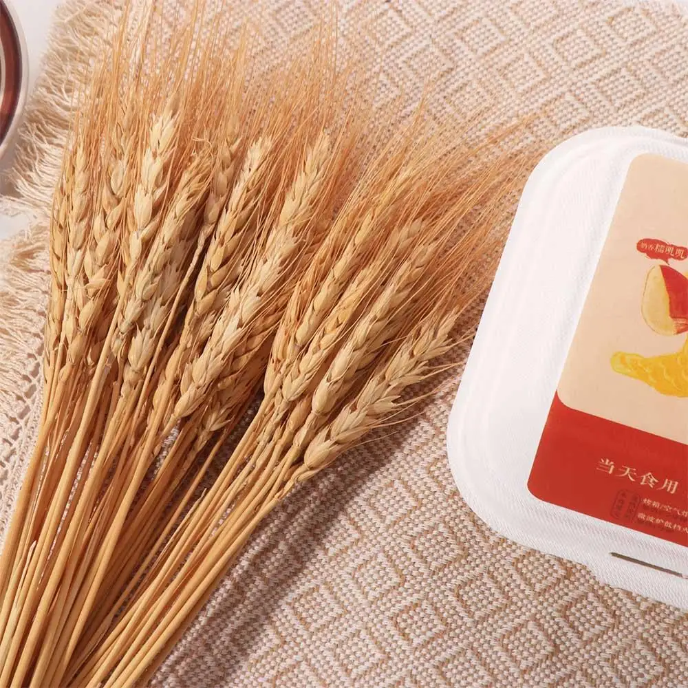 ดอกไม้ประดิษฐ์ 50 ชิ้น ก้านข้า - Dried Flower Bulk บทวิจารณ์และราคา
