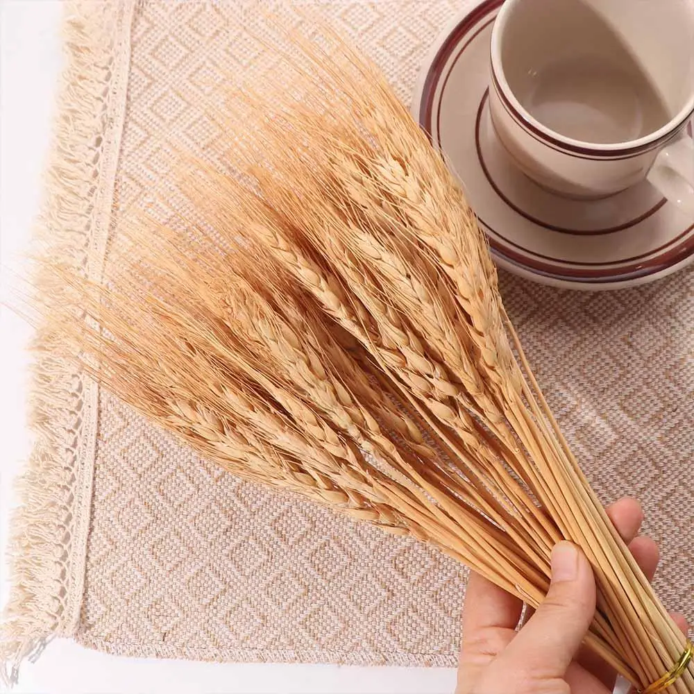ดอกไม้ประดิษฐ์ 50 ชิ้น ก้านข้า - Dried Flower Bulk บทวิจารณ์และราคา
