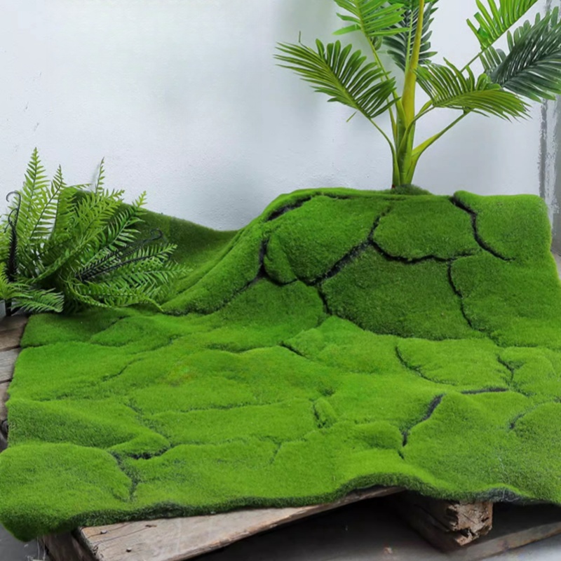สนามหญ้าประดิษฐ์ Moss จําลองทุ - Terrarium Moss Art บทวิจารณ์และราคา