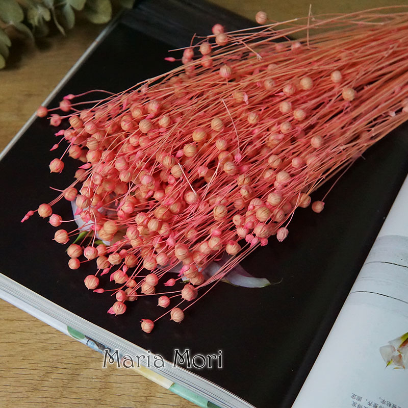 ดอกออร์โมเซีย โฮเซีย แห้ง 35 ก - Dried Flower Bulk บทวิจารณ์และราคา
