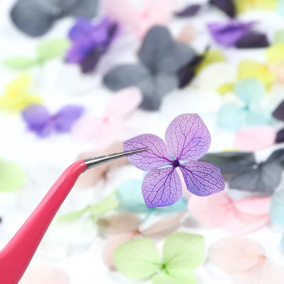 1กล่องดอกไม้แห้งจริงตกแต่งเล็บ - Dried Flower Bulk บทวิจารณ์และราคา
