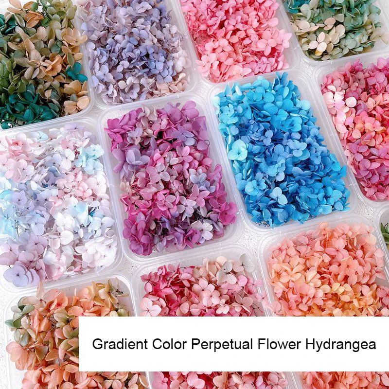 1กล่องดอกไม้แห้งจริงตกแต่งเล็บ - Dried Flower Bulk บทวิจารณ์และราคา