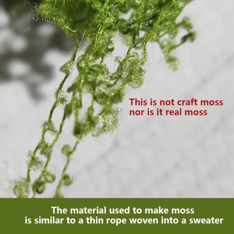ประมาณ 20g พืชสีเขียวประดิษฐ์โ - Terrarium Moss Art บทวิจารณ์และราคา