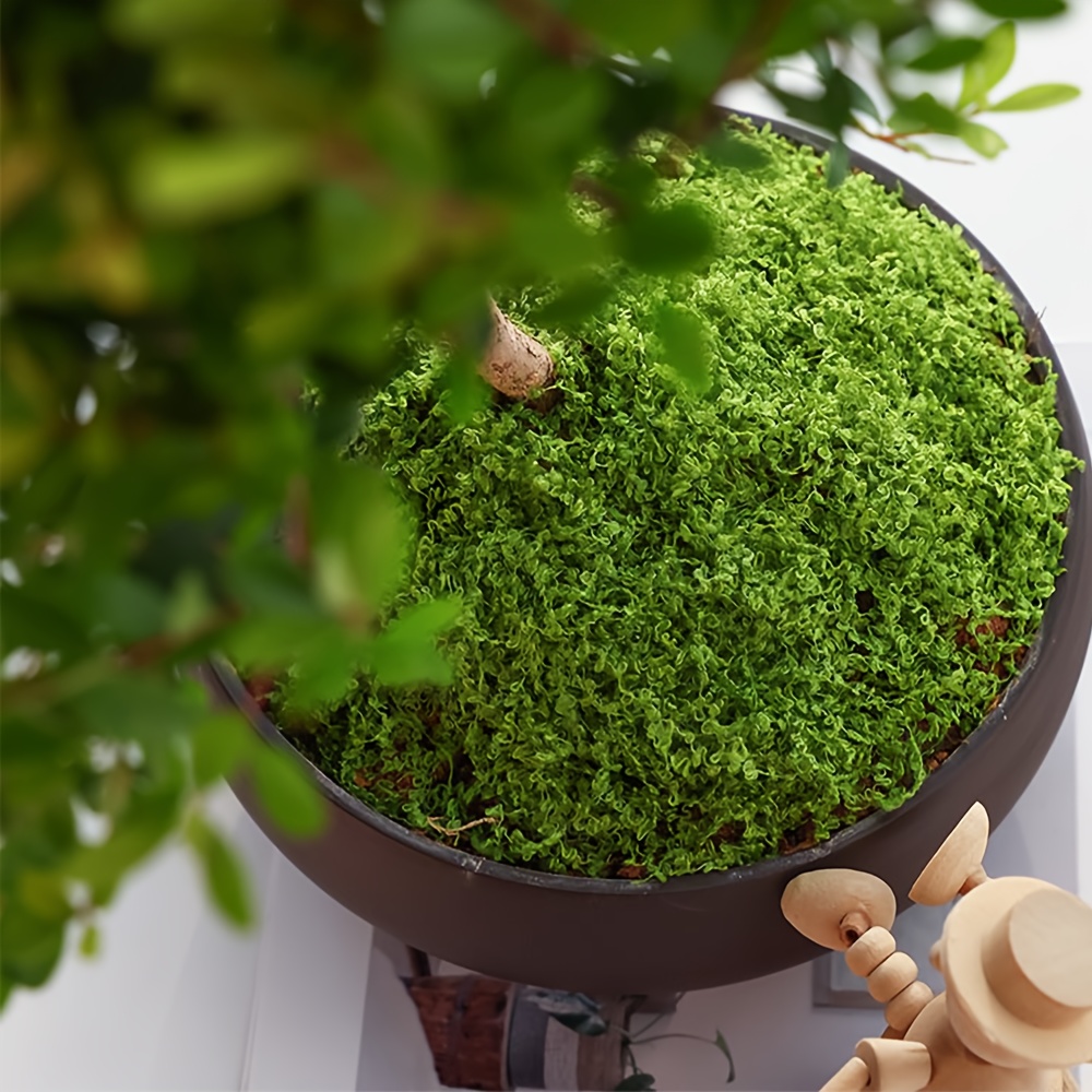 1 แพ็คประดิษฐ์ปลอม Moss, 1.05  - Terrarium Moss Art บทวิจารณ์และราคา