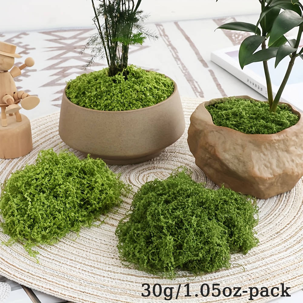 1 แพ็คประดิษฐ์ปลอม Moss, 1.05  - Terrarium Moss Art บทวิจารณ์และราคา