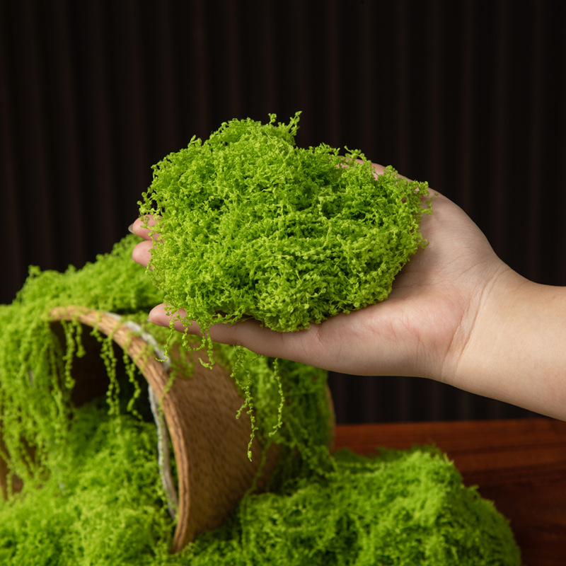 มอสอมตะ 200 กรัม สำหรับงาน DIY - Terrarium Moss Art บทวิจารณ์และราคา