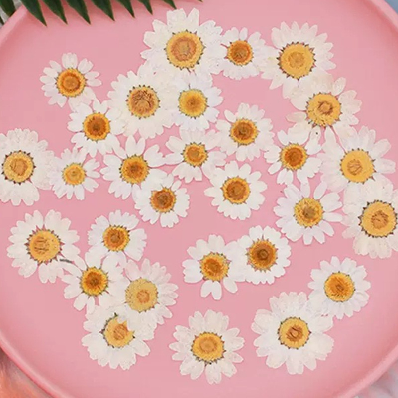 ดอกเดซี่คริสตัลสีขาวธรรมชาติ 1 - Resin Craft Ideas บทวิจารณ์และราคา