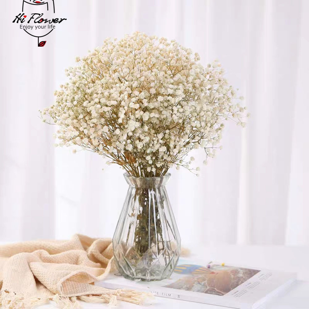 ดอกไม้แห้งธรรมชาติ Preserved G - Dried Flower Bulk บทวิจารณ์และราคา