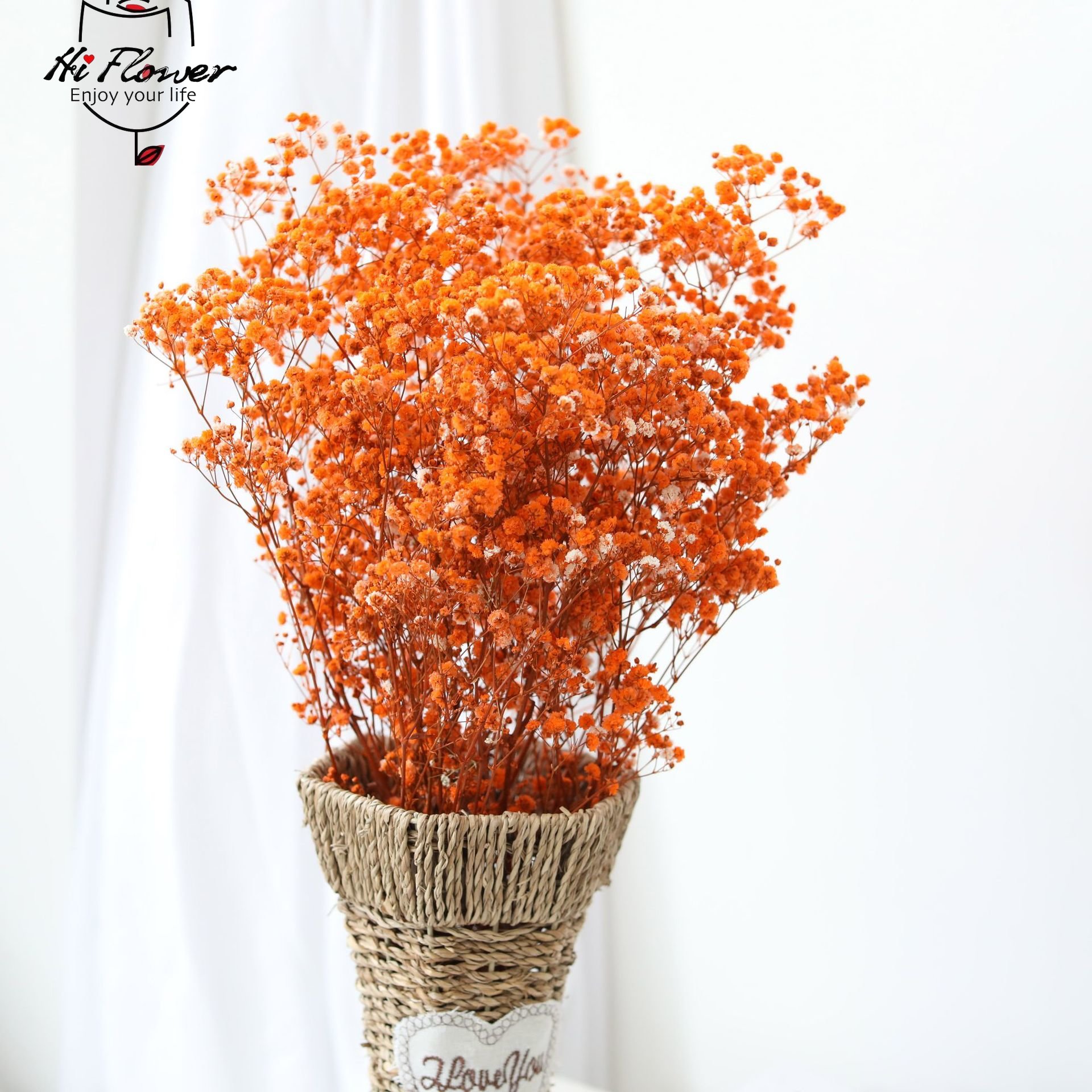 ดอกไม้แห้งธรรมชาติ Preserved G - Dried Flower Bulk บทวิจารณ์และราคา