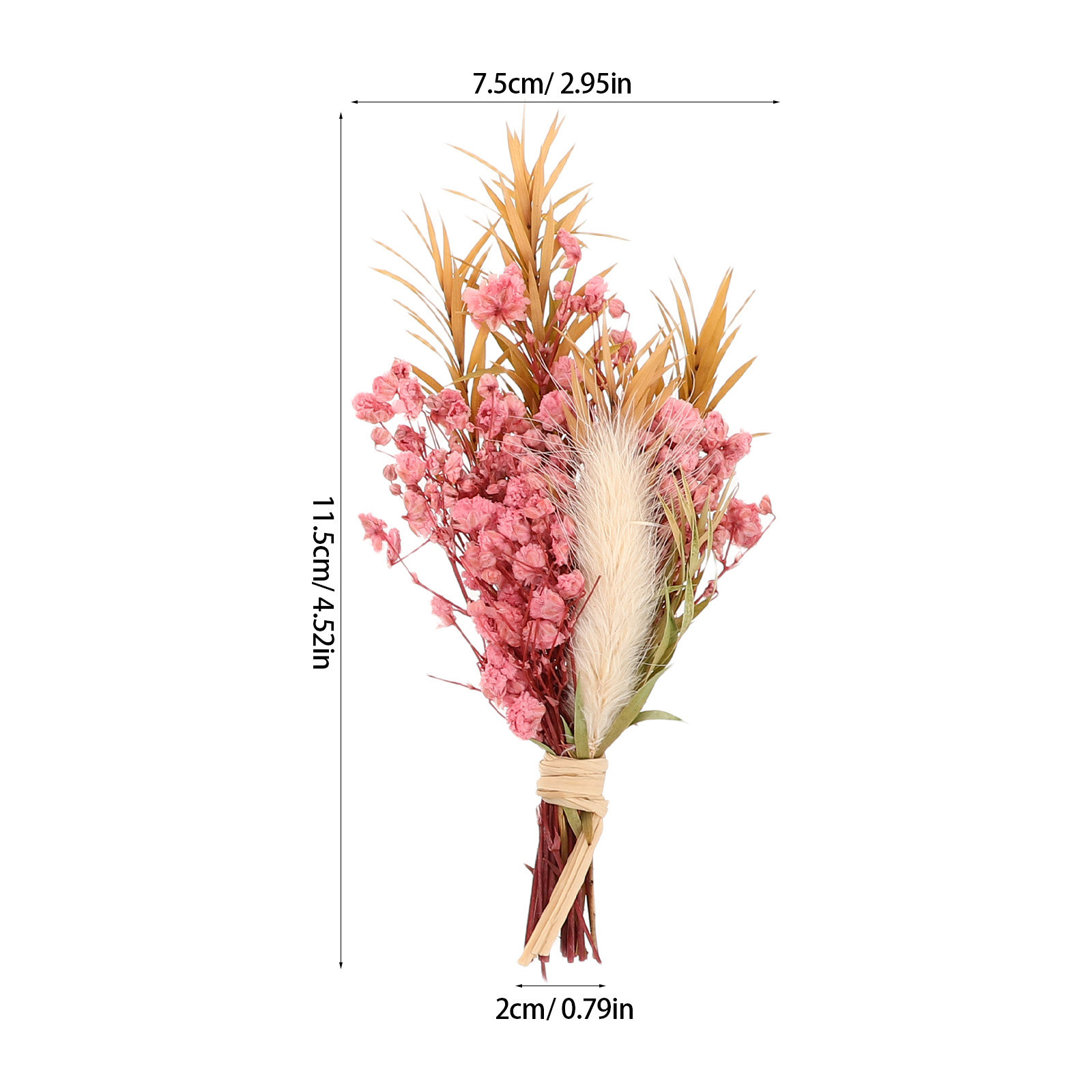 ช่อดอกไม้แห้งขนาดเล็ก 3 ชิ้น ช - Dried Flower Bulk บทวิจารณ์และราคา