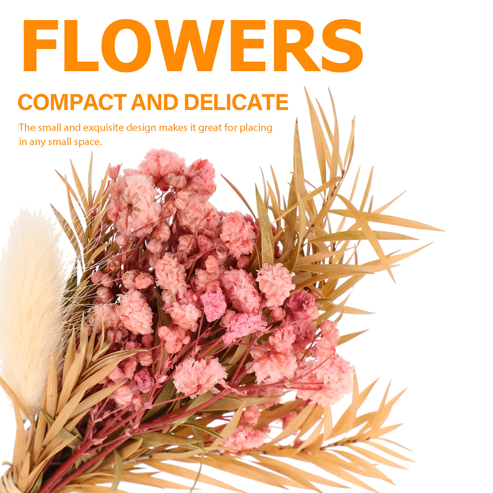 ช่อดอกไม้แห้งขนาดเล็ก 3 ชิ้น ช - Dried Flower Bulk บทวิจารณ์และราคา