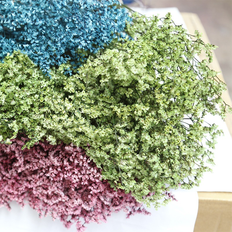 ธรรมชาติสดแห้งดอกไม้ที่เก็บรัก - Dried Flower Bulk บทวิจารณ์และราคา