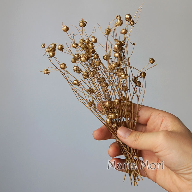 5g Preserved Flax Bean ดอกไม้ธ - Dried Flower Bulk บทวิจารณ์และราคา