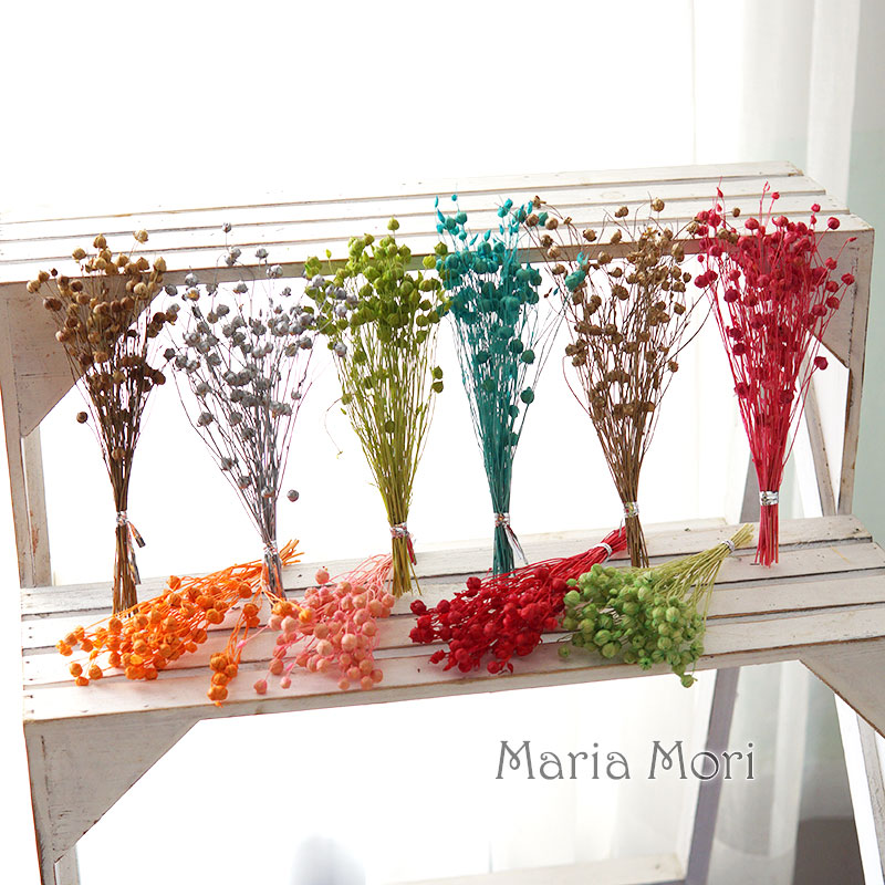 5g Preserved Flax Bean ดอกไม้ธ - Dried Flower Bulk บทวิจารณ์และราคา