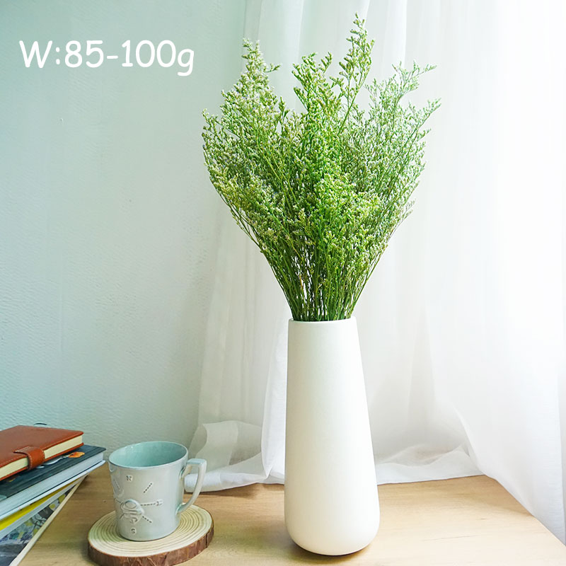 หญ้าลิโมเนียม 50 กรัม/แบบแห้ง  - Dried Flower Bulk บทวิจารณ์และราคา