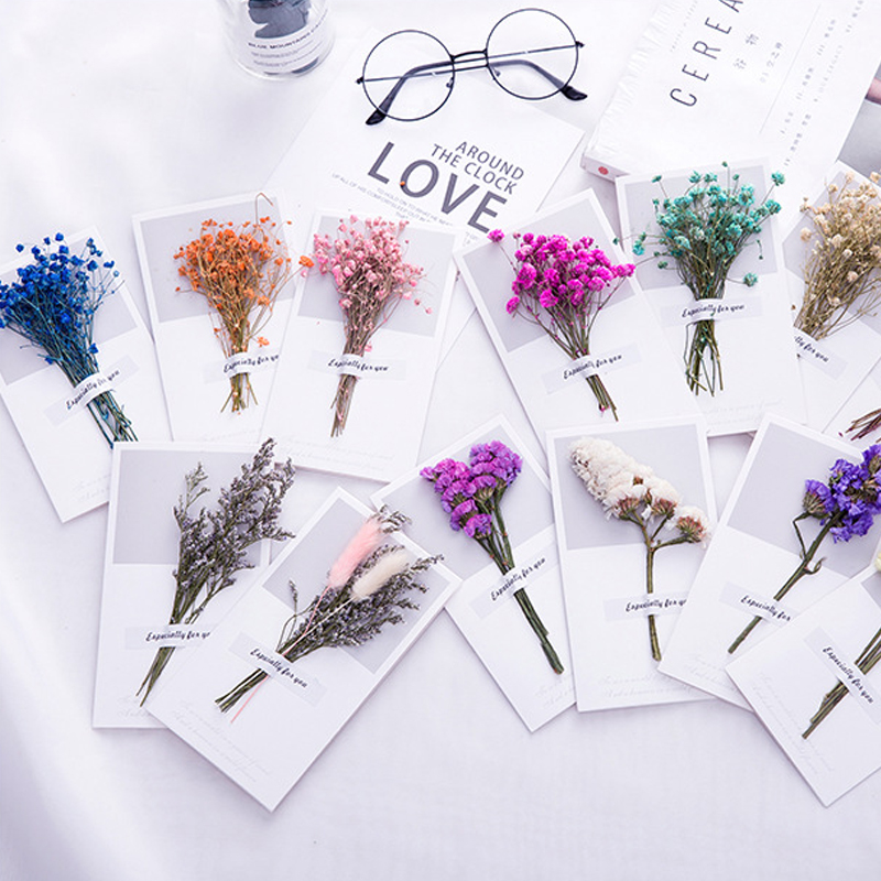 10 ชิ้นการ์ดของขวัญคําเชิญงานแ - Dried Flower Bulk บทวิจารณ์และราคา