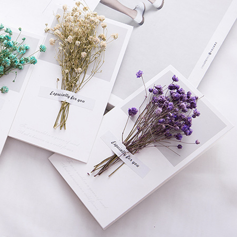 10 ชิ้นการ์ดของขวัญคําเชิญงานแ - Dried Flower Bulk บทวิจารณ์และราคา