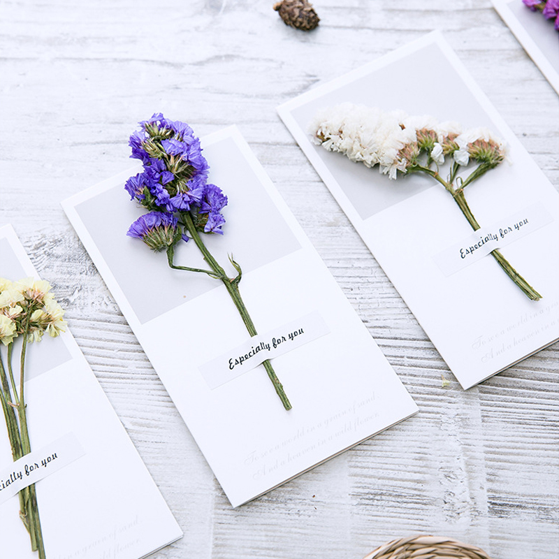 10 ชิ้นการ์ดของขวัญคําเชิญงานแ - Dried Flower Bulk บทวิจารณ์และราคา
