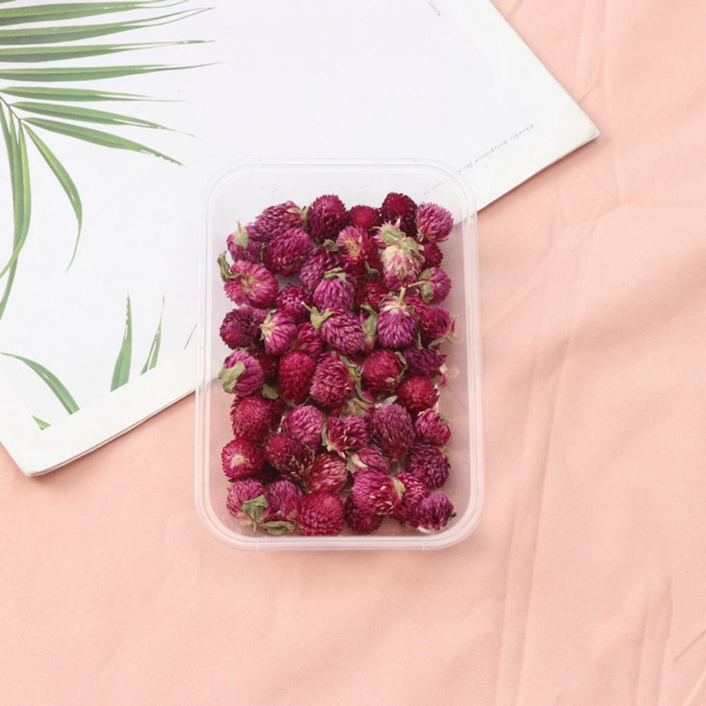 ชุดดอกไม้ธรรมชาติแบบ DIY ชุดดอ - Dried Flower Bulk บทวิจารณ์และราคา