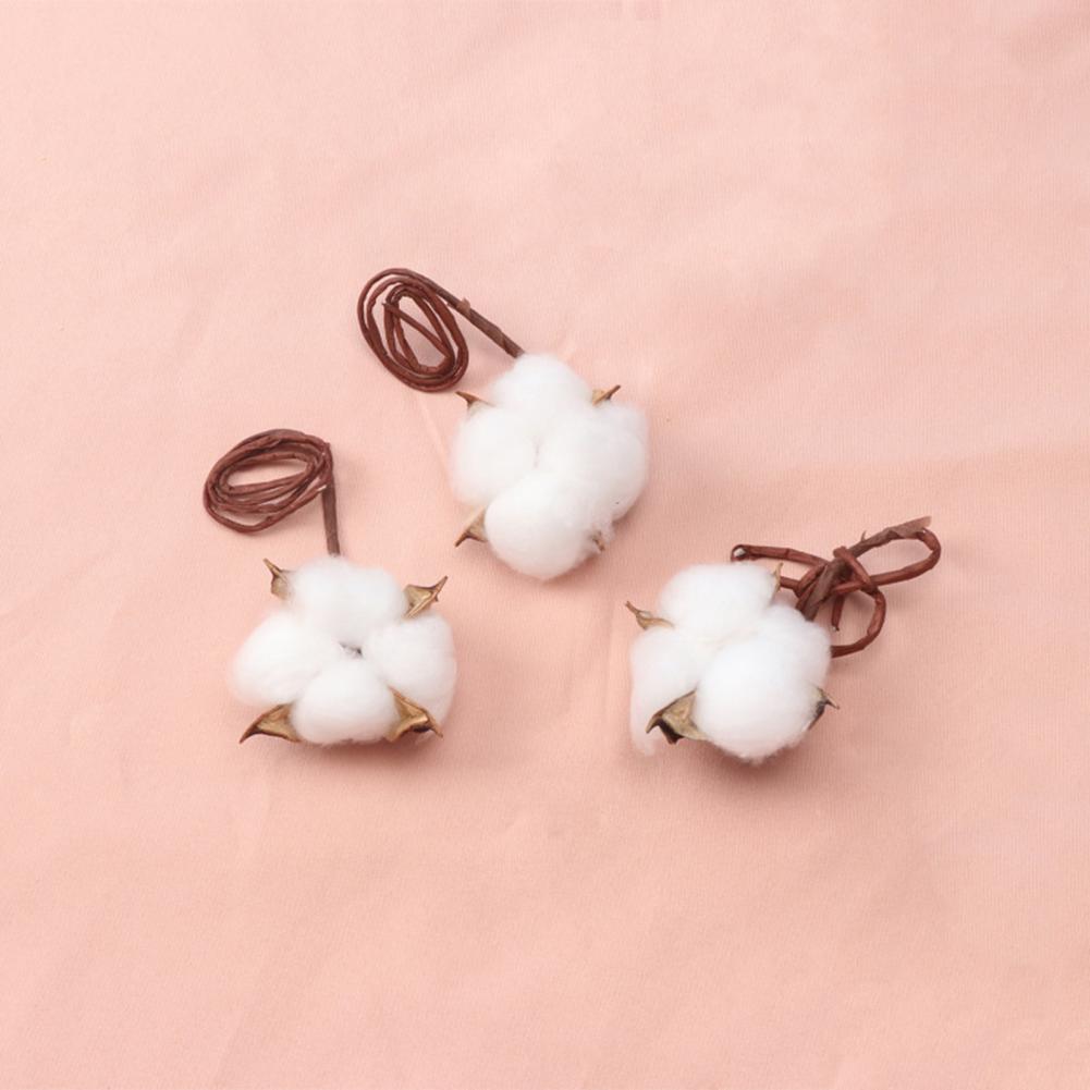 ชุดดอกไม้ธรรมชาติแบบ DIY ชุดดอ - Dried Flower Bulk บทวิจารณ์และราคา