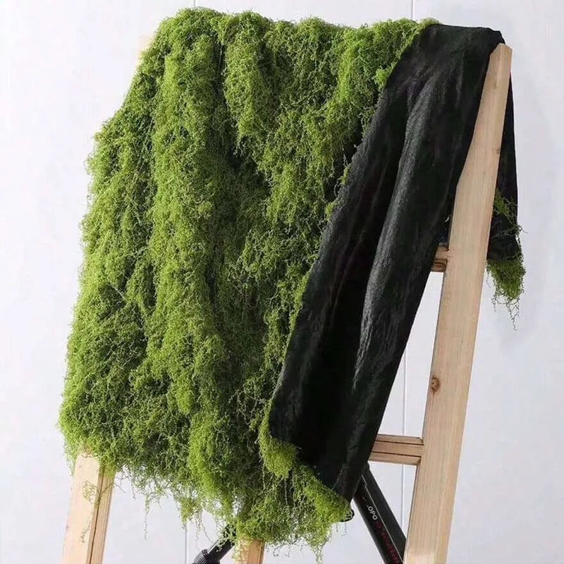 มอสเทียมสำหรับตกแต่งไมโครแลนด์ - Terrarium Moss Art บทวิจารณ์และราคา