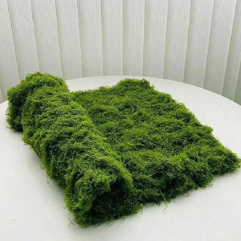 มอสเทียมสำหรับตกแต่งไมโครแลนด์ - Terrarium Moss Art บทวิจารณ์และราคา