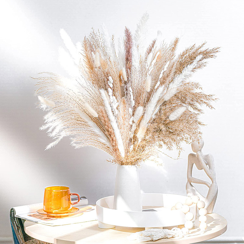60-100PCS ธรรมชาติแห้ง Pampas  - Dried Flower Bulk บทวิจารณ์และราคา
