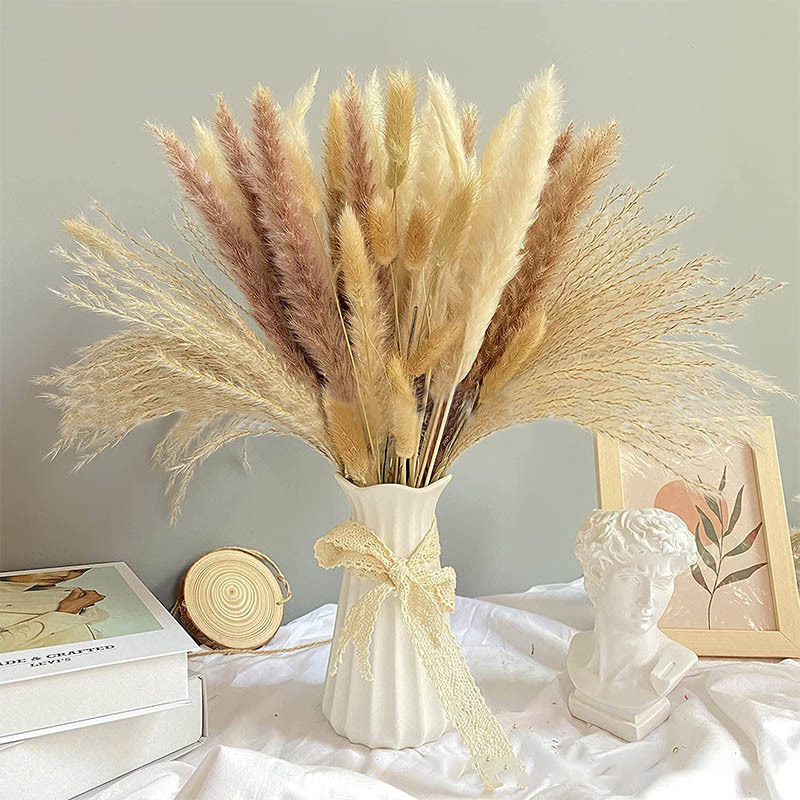 60-100PCS ธรรมชาติแห้ง Pampas  - Dried Flower Bulk บทวิจารณ์และราคา